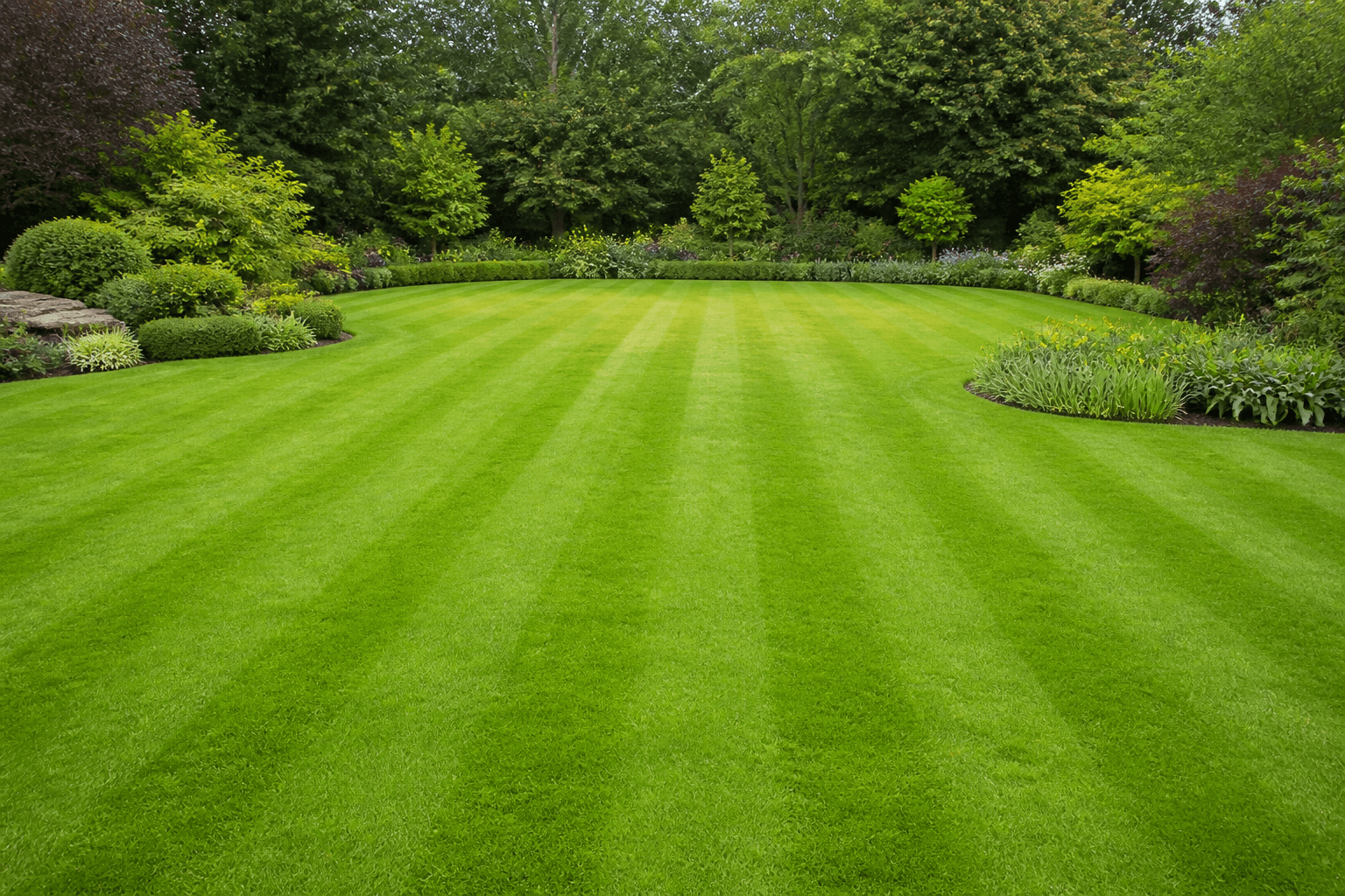Lawns & Aftercare